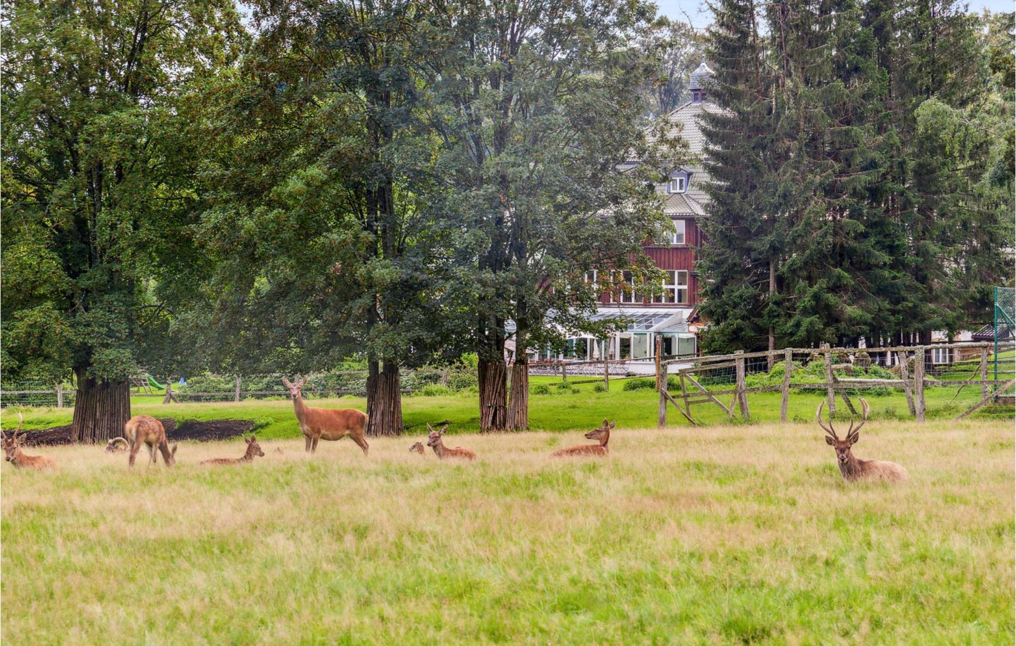 Stunning Home In Oberharz With Wifi Benneckenstein Luaran gambar